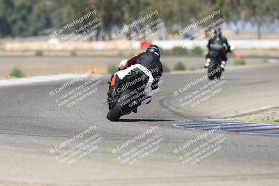 media/Sep-07-2025-Pacific Track Time (Sun) [[a6322260b9]]/C Group/Wheelie Bump/